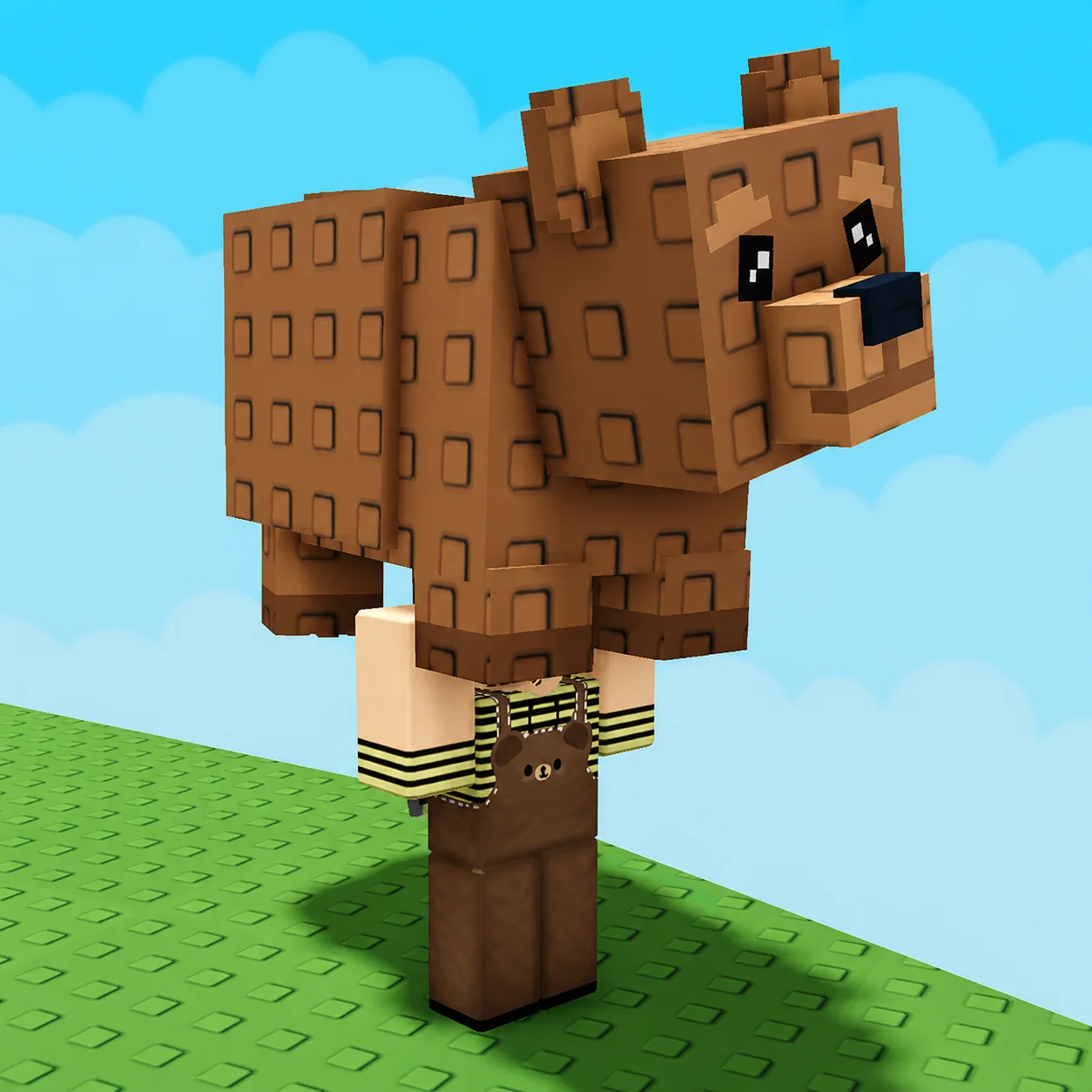 Bear