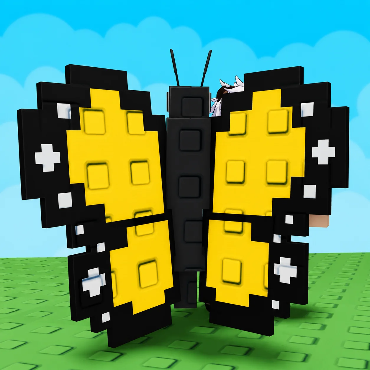 Butterfly