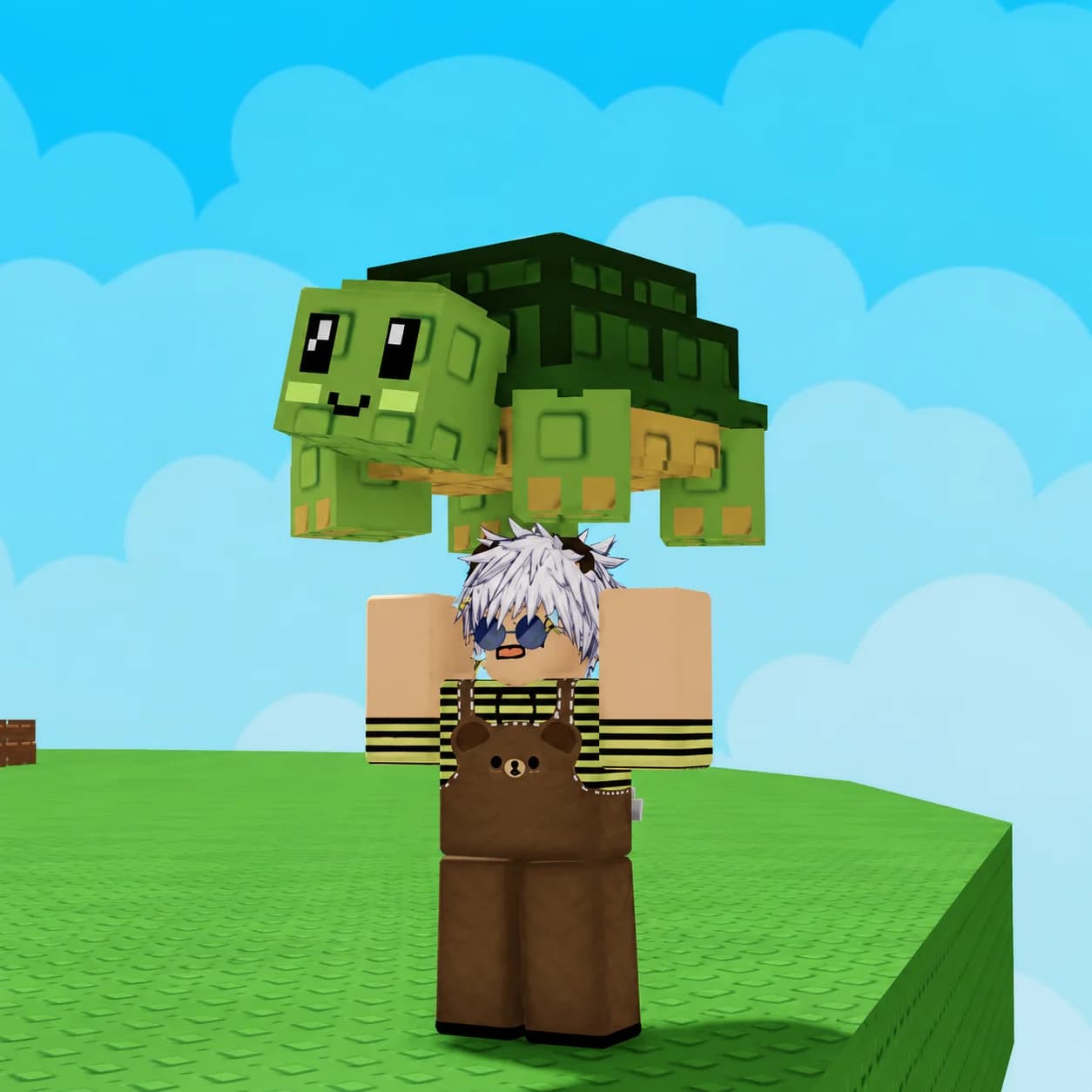 Turtle
