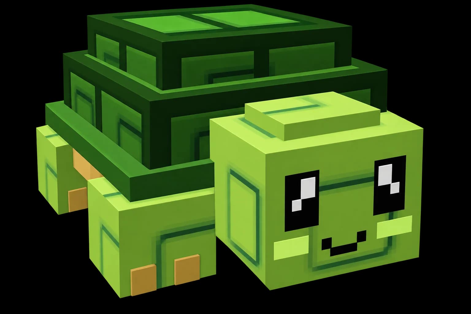 Turtle